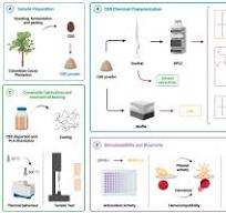 Bioactive Poly(lactic acid)–Cocoa Bean Shell Composites for ...