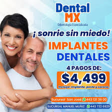 Dental MX