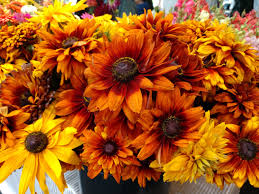 Finding seasonal framers markets near your house can be really great because you can buy different types of fresh food directly from farmers or growers. Sunshine In A Vase Fresh Flowers From Olympia Farmers Market Brighten Any Space Thurstontalk