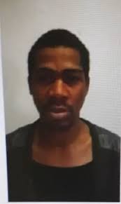 Jane Daniels from Delft,...