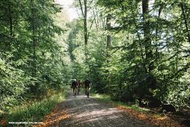 Beginner's guide to if diet plans and health benefits intermittent fasting. The Gravel Bike Guide All You Need To Know About Gravel Bikes Gran Fondo Cycling Magazine