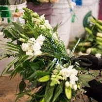 Allowed management to berate and fire anyone that spoke up. Working At Farmgirl Flowers Glassdoor