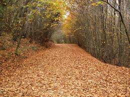 legend park hotel polonezk y beautiful places park hotel country roads