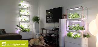 Supragarden Green Wall Vertical Hydroponic Garden System To Home