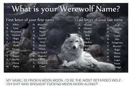 Moon Moon Know Your Meme