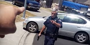 Rohnert Park viral-video investigation concluded: Officer exonerated,  questions remain