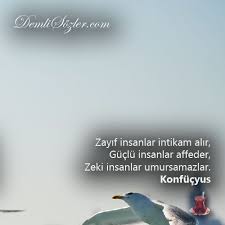 Zayif Insanlar Intikam Alir Guclu Insanlar Affeder Zeki Insanlar Umursamazlar 2020 Insan Biyografiler Hayat