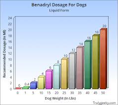 can i give my dog benadryl guidelines dosage trulygeeky