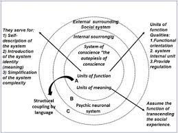 The autopoiesis of social systems. Niklas Luhmann Neosystemic Theory And The Notion Of Communicative Autopoiesis In Organizational Studies