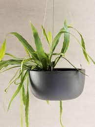 11 hanging planters that raise the bar on decorating with plants. 18 Best Hanging Planters Baskets For Indoors And Outdoors Architectural Digest
