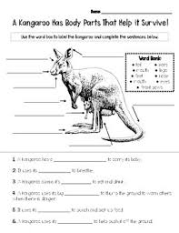Visual dictionary for children about the human body, the boy. Label Animal Body Parts Worksheets Teaching Resources Tpt