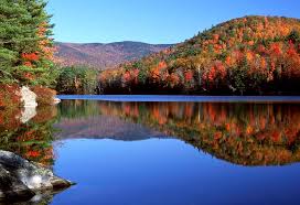 Image result for New England fall