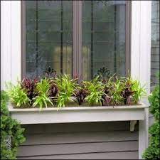 We did not find results for: Pin By Artificial Plants And Trees On Decorate With Plants Window Box Plants Artificial Plants Outdoor Artificial Plants Decor