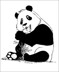 Comment Dessiner Un Panda Comment Dessiner Un Panda Comment Dessiner Dessin