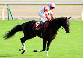 The yasuda kinen is a japanese international grade i thoroughbred horse race held at the tokyo racecourse in tokyo. P38450o Wmgd7m