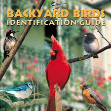 Backyard Birds Identification Guide Cd