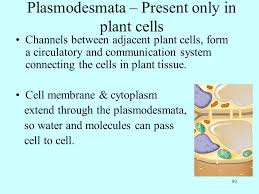 We did not find results for: A All Living Things Are Made Of Cells Ppt Download