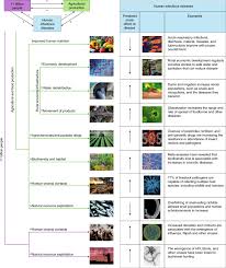This best ultrasonic pest repeller for roaches makes use of active electromagnetic technology that is harmless. Emerging Human Infectious Diseases And The Links To Global Food Production Nature Sustainability
