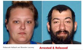 Marlton, New Jersey Evesham Township (Burlington co.) SO MANY QUESTIONS: 1.  Who are ALL the rescues and shelters that sent dogs/cats to Lynn's Animal  Rescue and why aren't ALL of them posting