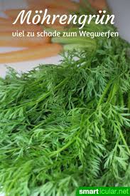 La Carotte Est Au Moins Aussi Saine Que Le Navet Orange Avec Ces Recettes Gesundes Pesto Kostliche Rezepte Rezepte