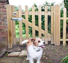 Maybe you would like to learn more about one of these? Dog Fencing Jacksons Fencing