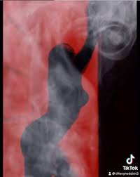 TikTok silhouette challenge - Women warned to avoid dance after videos show  how to REMOVE red filter & expose nudes | The US Sun