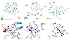 Image result for Dovyalis sp. A