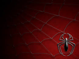 38 Spider Web Wallpaper Hd On Wallpapersafari Looking for the best 4k spiderman wallpaper? spider web wallpaper hd on wallpapersafari
