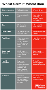 Difference Between Wheat Germ And Wheat Bran Difference Between