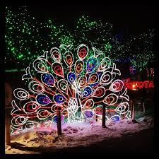 Pin By Cɑɱɱy ʀ On Beauty Christmas Lights Zoo Lights State Of Colorado