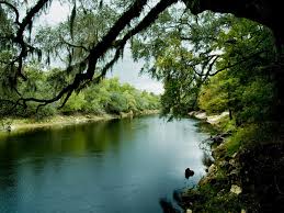 Maybe you would like to learn more about one of these? Suwannee River State Park A Florida State Park Located Near Live Oak Madison