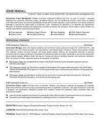 Resume Templates And Resume Examples Project Manager Resume Architect Resume Sample Manager Resume