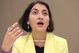 OLIP hosts immigration consultation