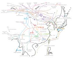 We compare our genetic data to a vast dna database, with genomic markers from many places around the world. Genetic History Of East Asians Wikipedia