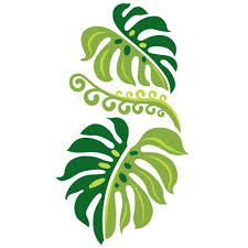 Hawaiianstencils Com Hawaiian Quilts Leaf Template Wool Applique Patterns