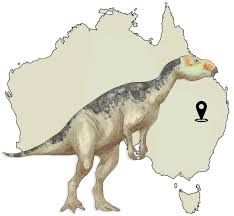 Image result for Dinophora