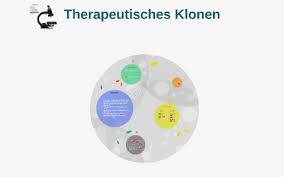 G) klonen oder züchten ? Therapeutisches Klonen By Pauline Wecker