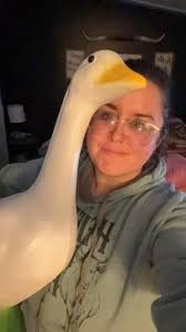 Happy Valentine's Day from Porchia!!! ❤️💕🪿