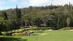 The Experience at Koele, Hawaii | Hidden Links Golf