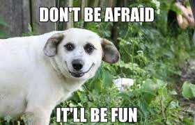 Image result for welcome to the internet meme