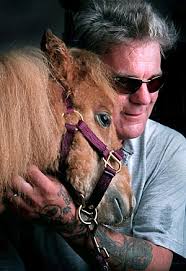 Guide Horse Foundation Photo Page