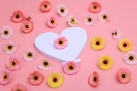 Small Daisies Daisy Background Map