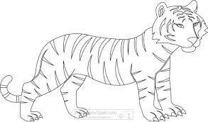 You are free to edit, distribute and use the images for unlimited commercial purposes without asking permission. Animals Black And White Outline Clipart Baby Bengal Tiger Black White Outline Clipart Classroom Clipart