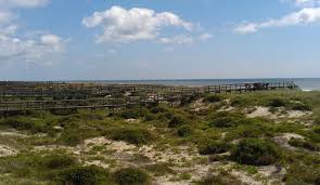 We did not find results for: A Day In Amelia Island Tampa Bay Date Night Guide
