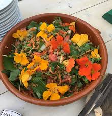 Image result for Nasturtium