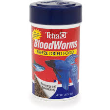Pin On Betta Care