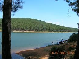 Aydos ormanı uğurmumcu 6 adet girişinden giriş yapmanız yeterli. Aydos Golet Mapio Net