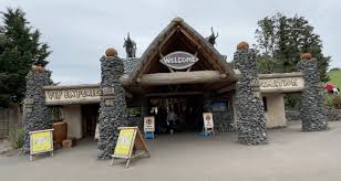 The park holds over 165 species of exotic animals. West Midland Safari Park 2020 Review An Absolute Gem Of A Park