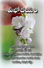 220 good morning quotes to make them shine bright. Pin By Duggisettysujatha On Sujathaduggisettyy Funny Good Morning Images Cute Good Morning Good Morning Wishes