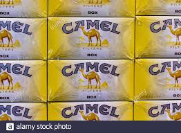 1 carton = 10 packs; Camel Tobacco Stockfotos Und Bilder Kaufen Alamy